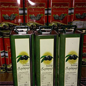 Zeytin yağı